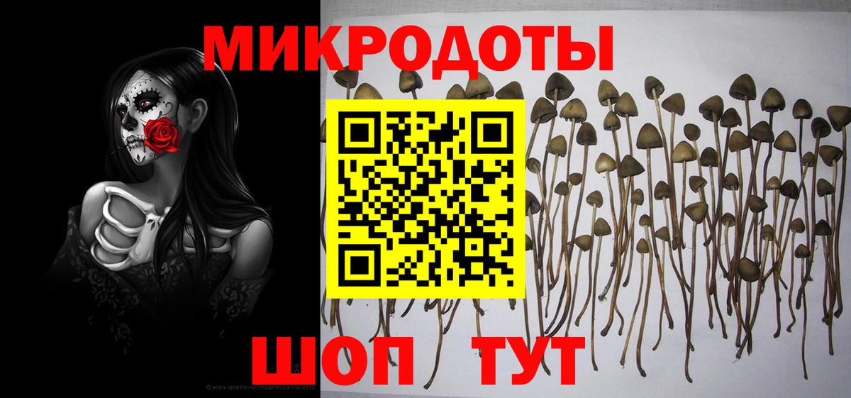 Псилоцибиновые грибы мухоморы  Галлюциногенные грибы прущие грибы  Балашиха  наркошоп  Вход с VPN 